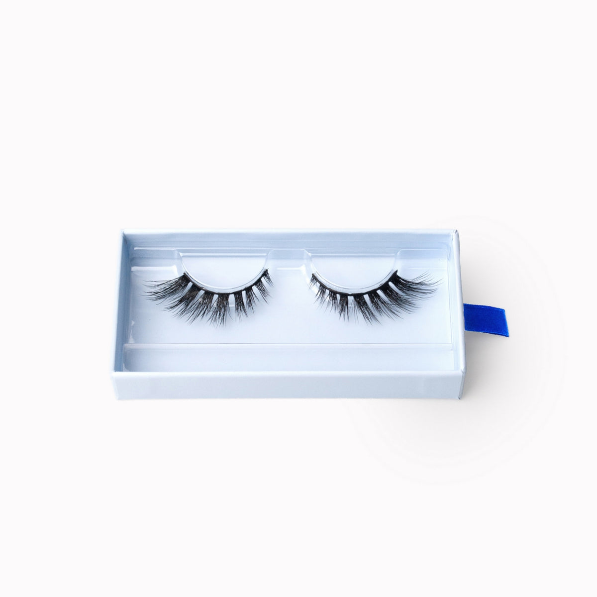 TRASH UNTIL THE LASH V2