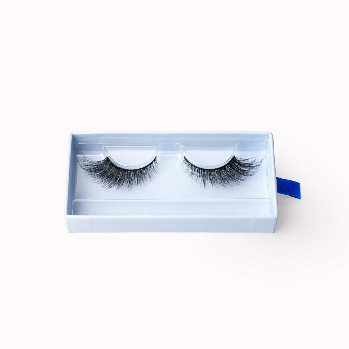 TRASH UNTIL THE LASH V2